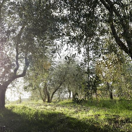Country House Sofiavillas Gaiole in Chianti Exterior photo