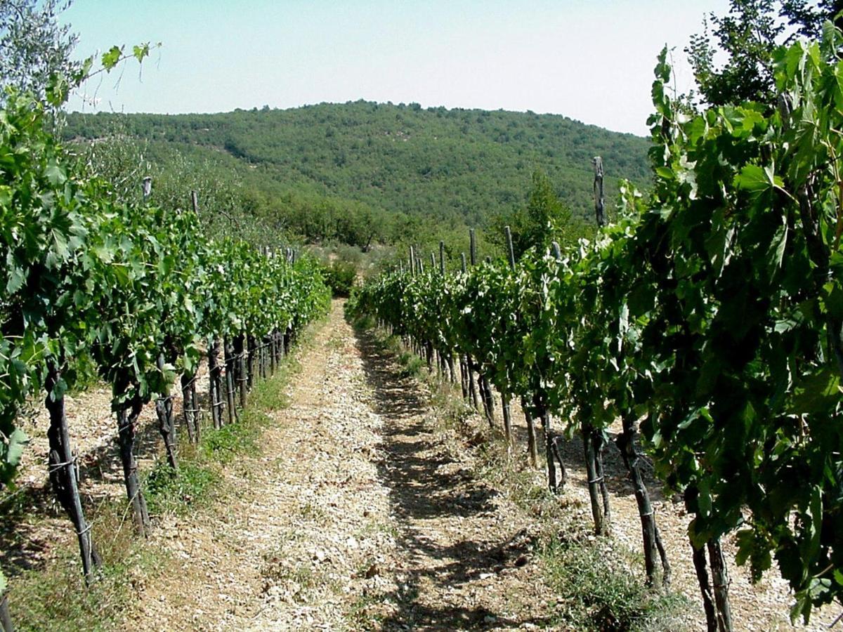 Country House Sofiavillas Gaiole in Chianti Exterior photo